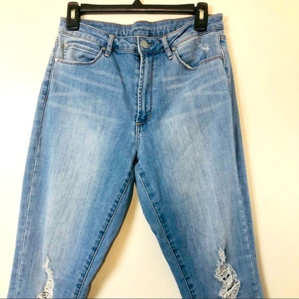 Articles of Society Light Wash Skinny Distressed Jeans/Denim- Size 28 - Picture 9 of 12